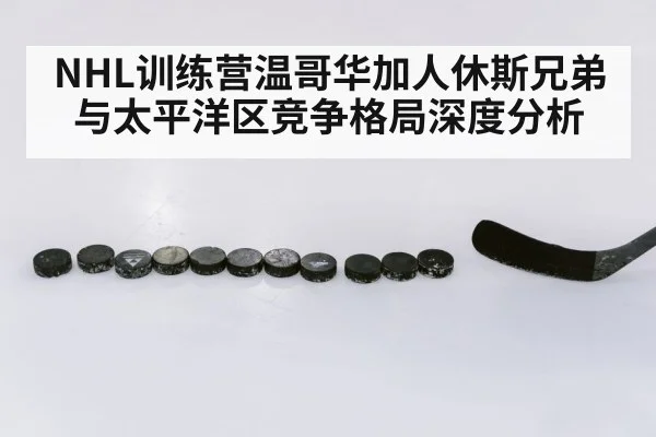 NHL训练营温哥华加人休斯兄弟与太平洋区竞争格局深度分析